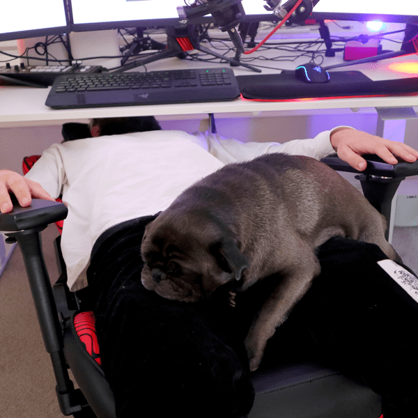 Édition Pewdiepie - Série Throttle (XL)